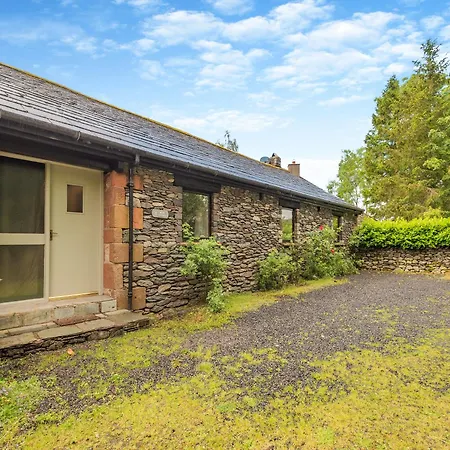 Mews * Бамптон