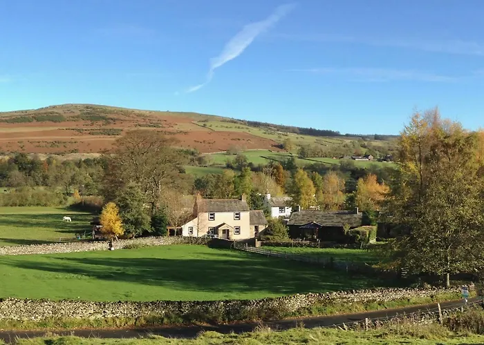 Дом отдыха Mews *