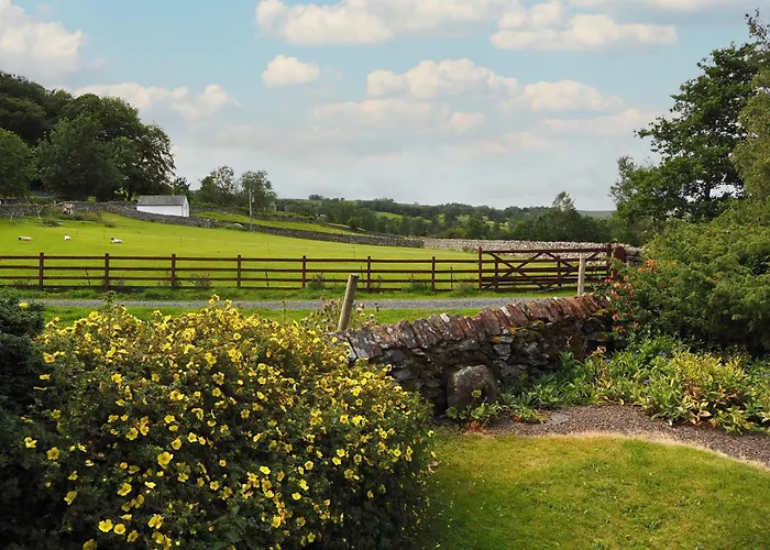 Mews Дом отдыха *