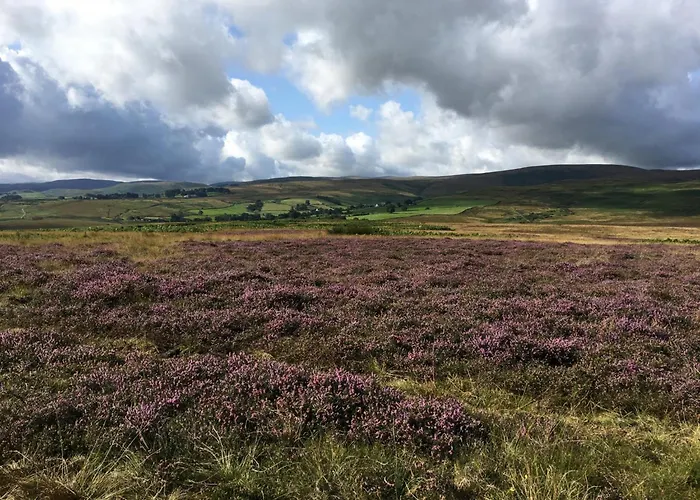 Mews Дом отдыха *